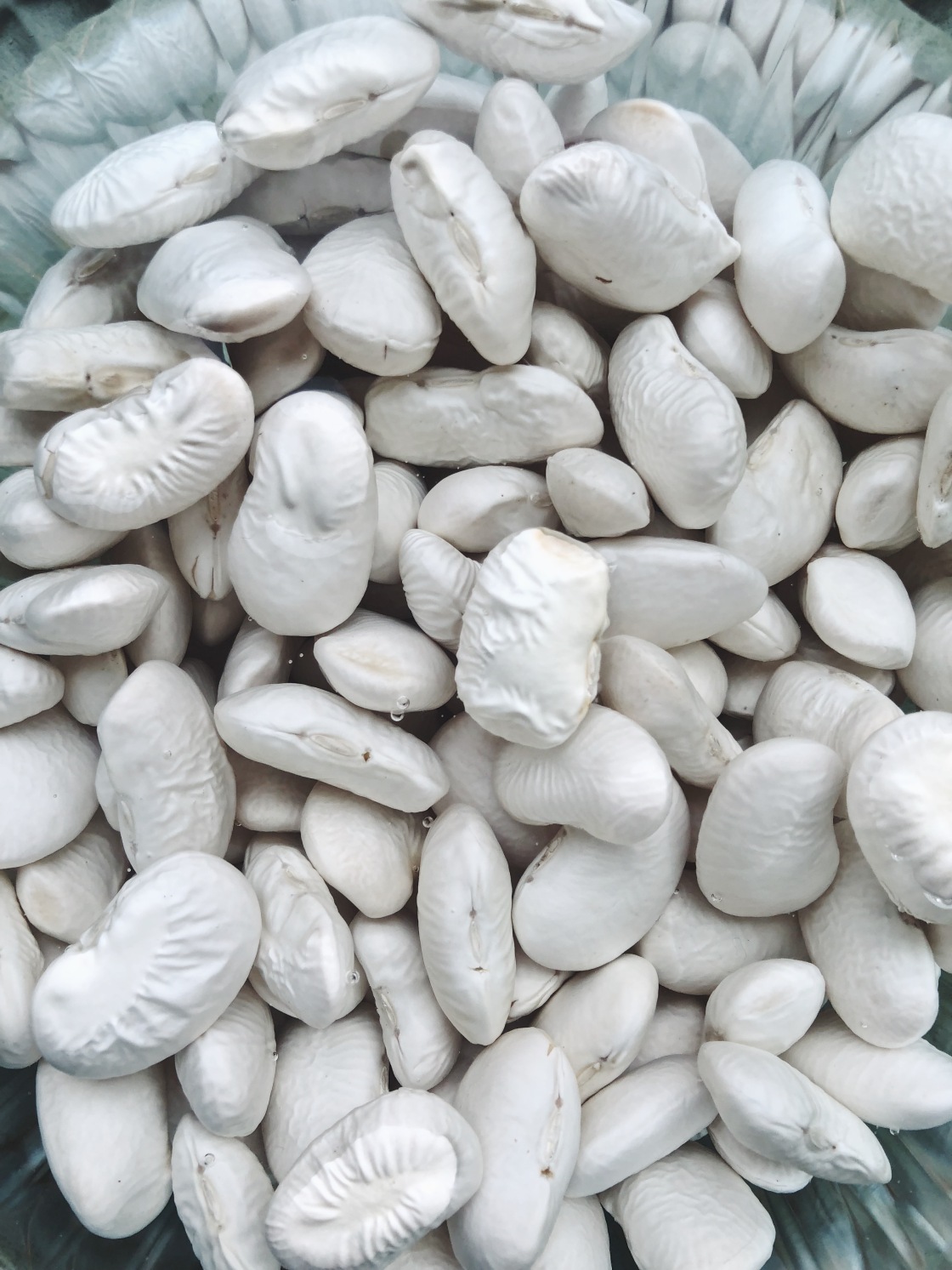 Giant white beans zero waste